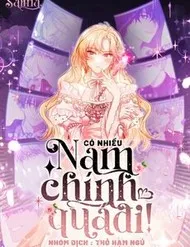 Có Nhiều Nam Chính Quá Đi! Có Nhiều Nam Chính Quá Đi!