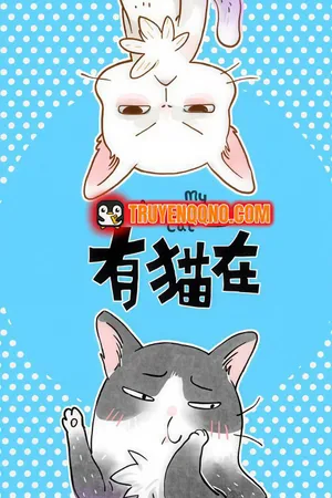 Ở Đây Có Mèo Ở Đây Có Mèo