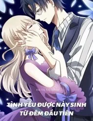 Tình Yêu Được Nảy Sinh Từ Đêm Đầu Tiên (Có Kết Hôn) Tình Yêu Được Nảy Sinh Từ Đêm Đầu Tiên (Có Kết Hôn)