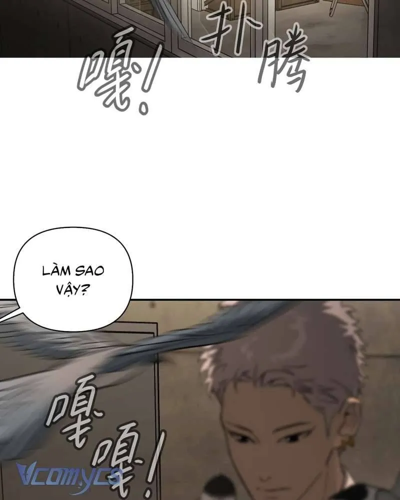 Trang 73