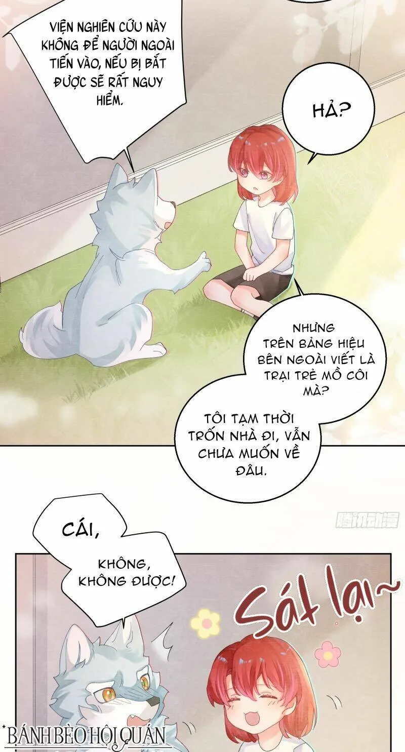 Trang 13