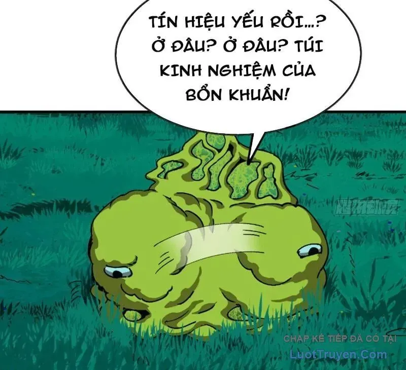 Trang 36
