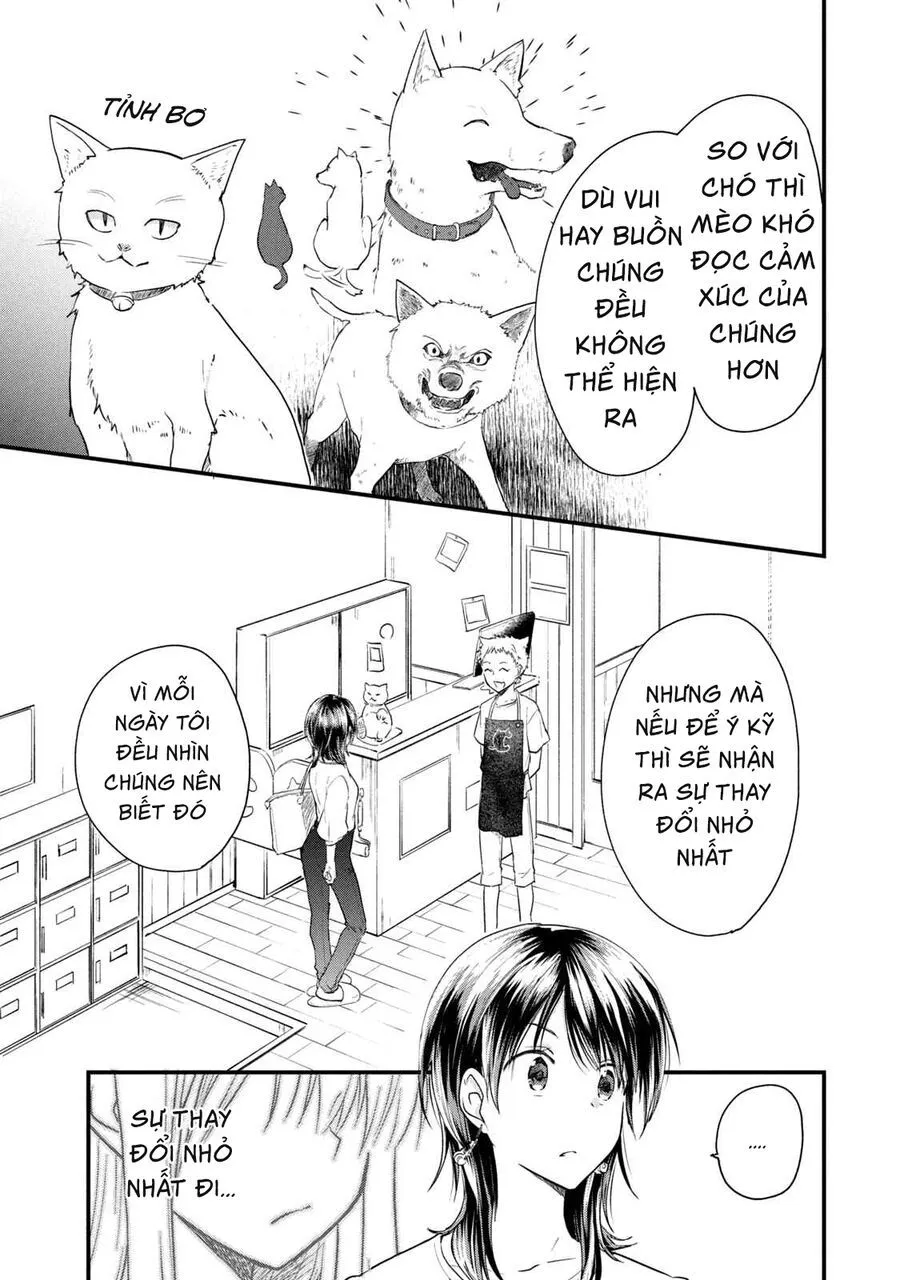Trang 18