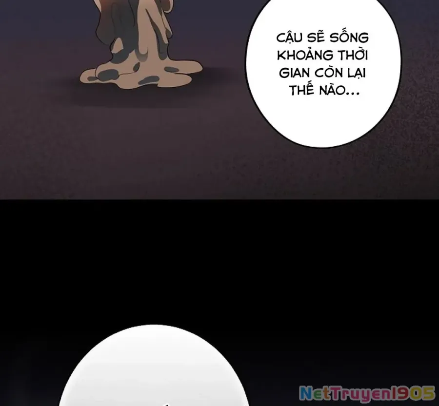 Trang 46
