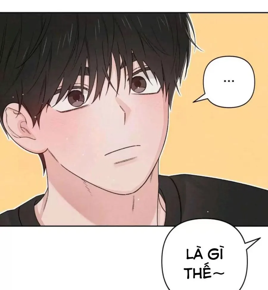 Trang 101