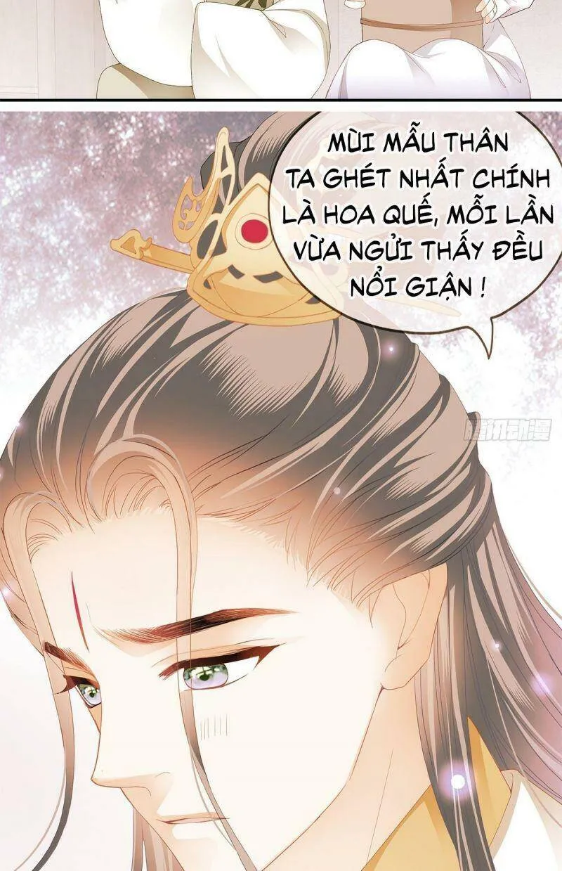 Trang 26