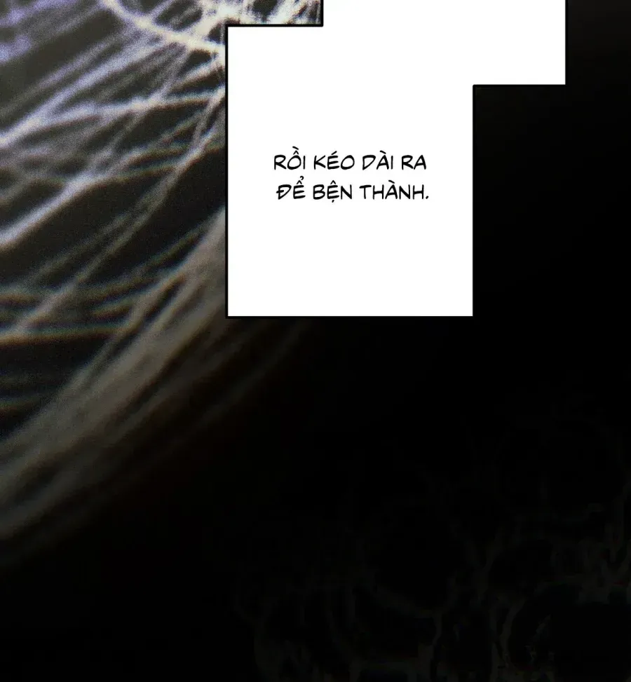 Trang 127