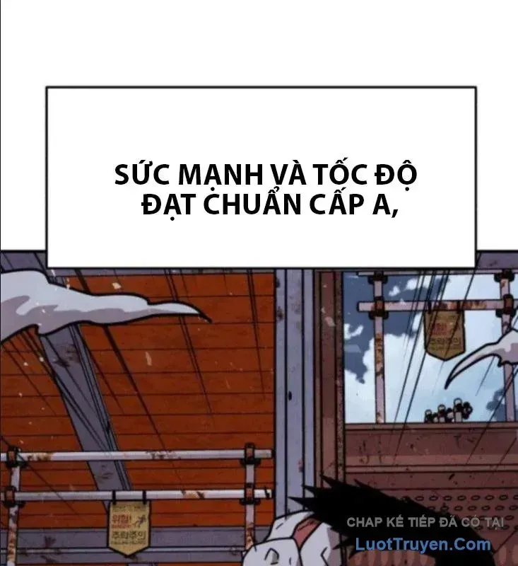 Trang 117