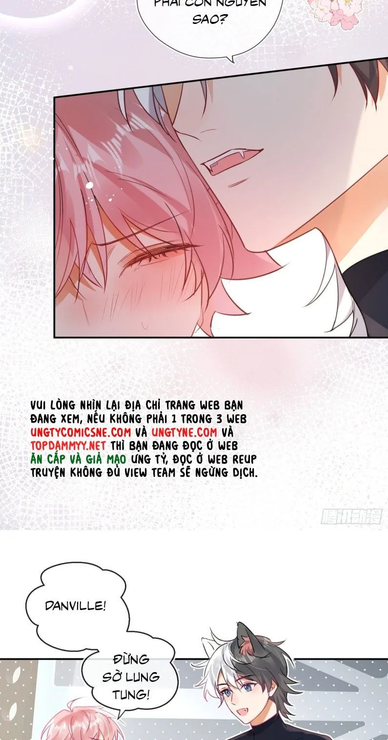 Trang 41