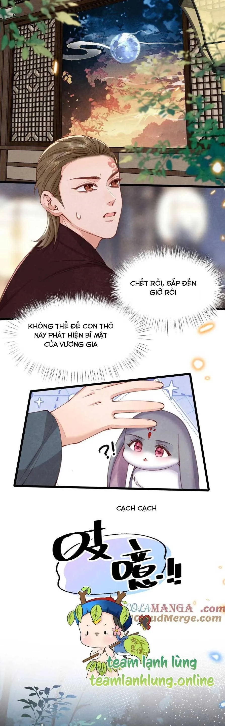 Trang 19