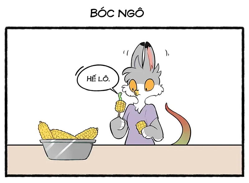 Trang 5