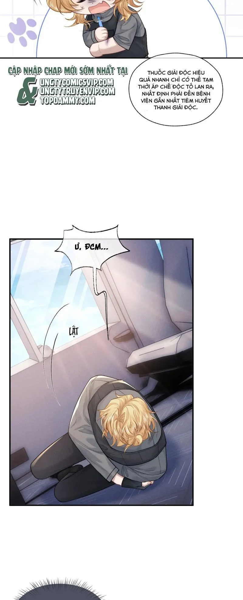 Trang 12