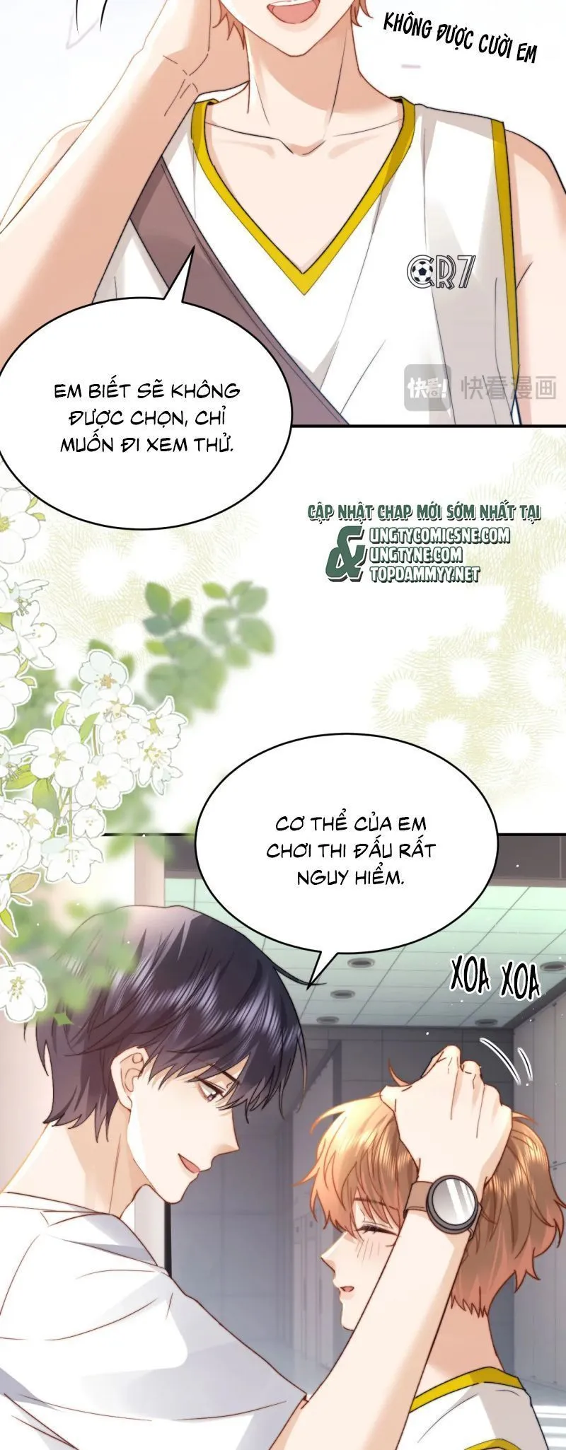 Trang 19