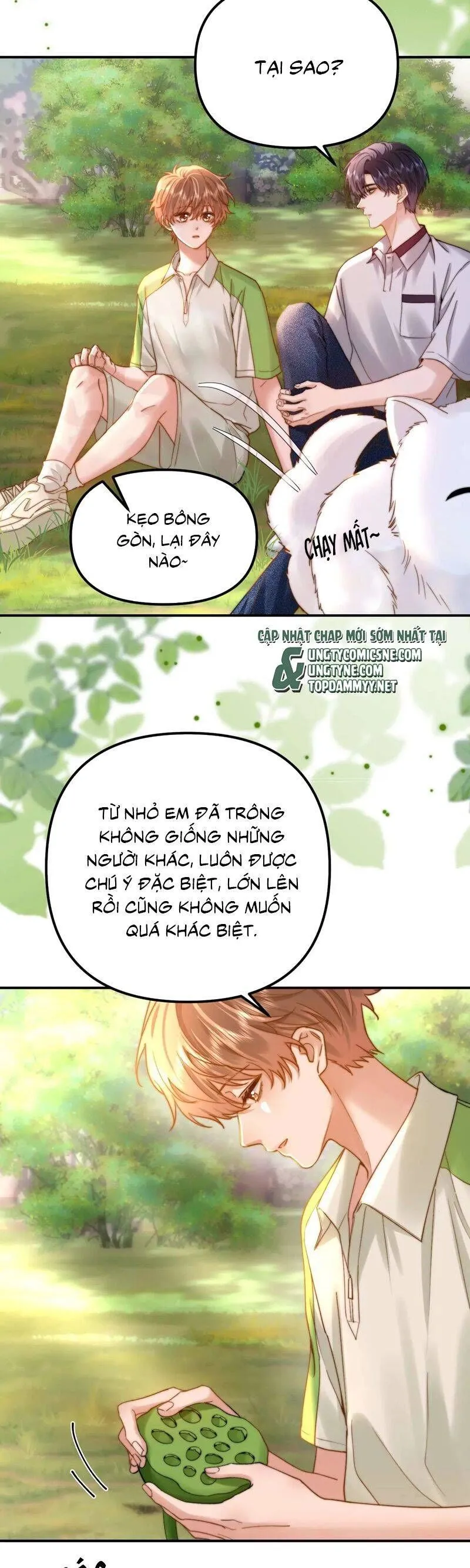 Trang 17