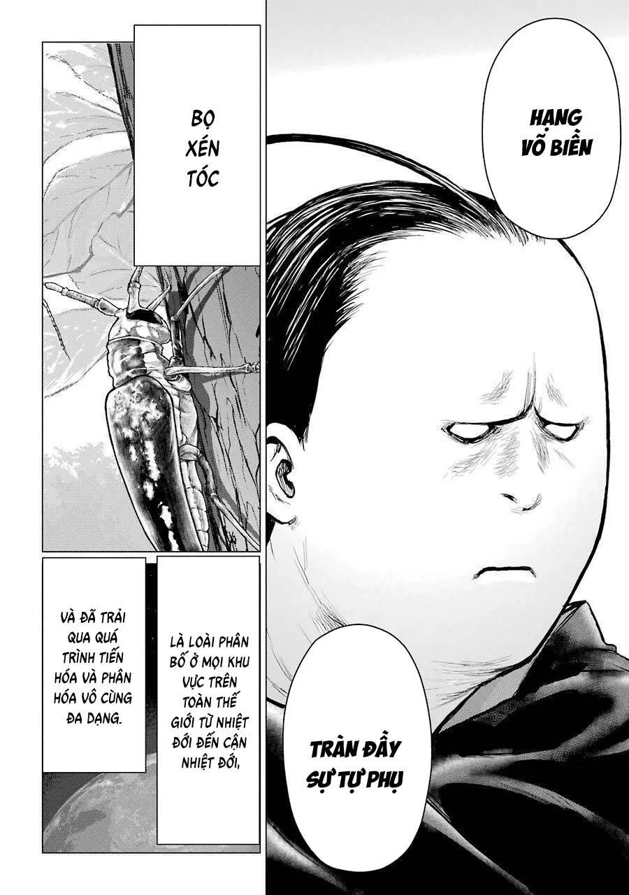 Trang 14