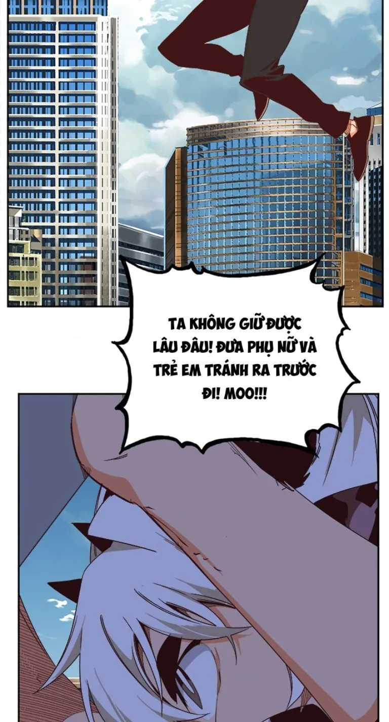 Trang 51