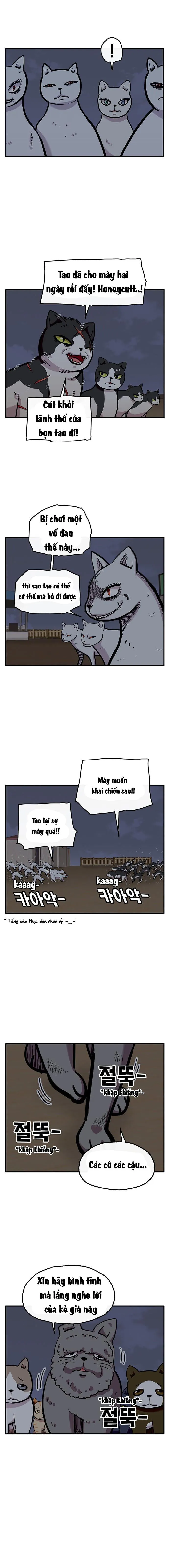 Trang 13