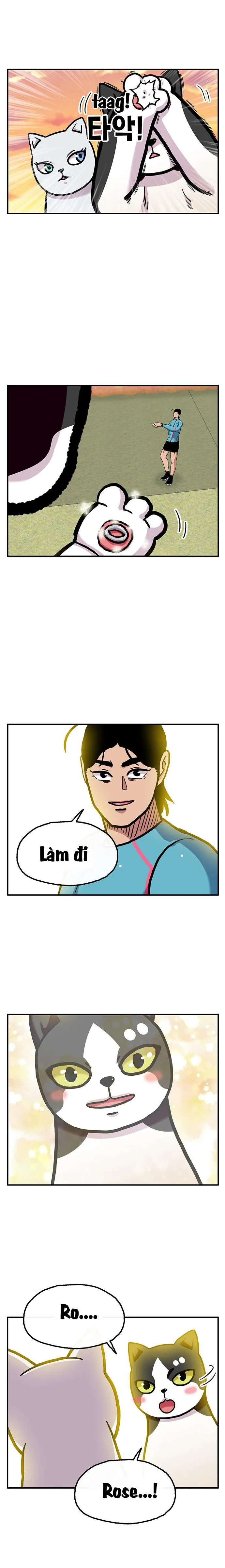 Trang 28
