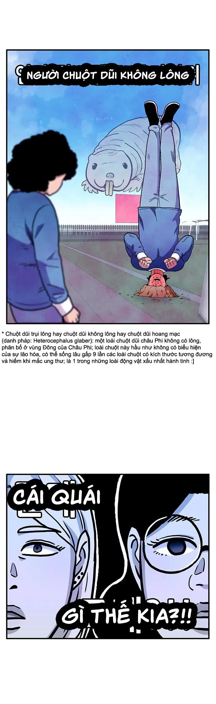 Trang 31
