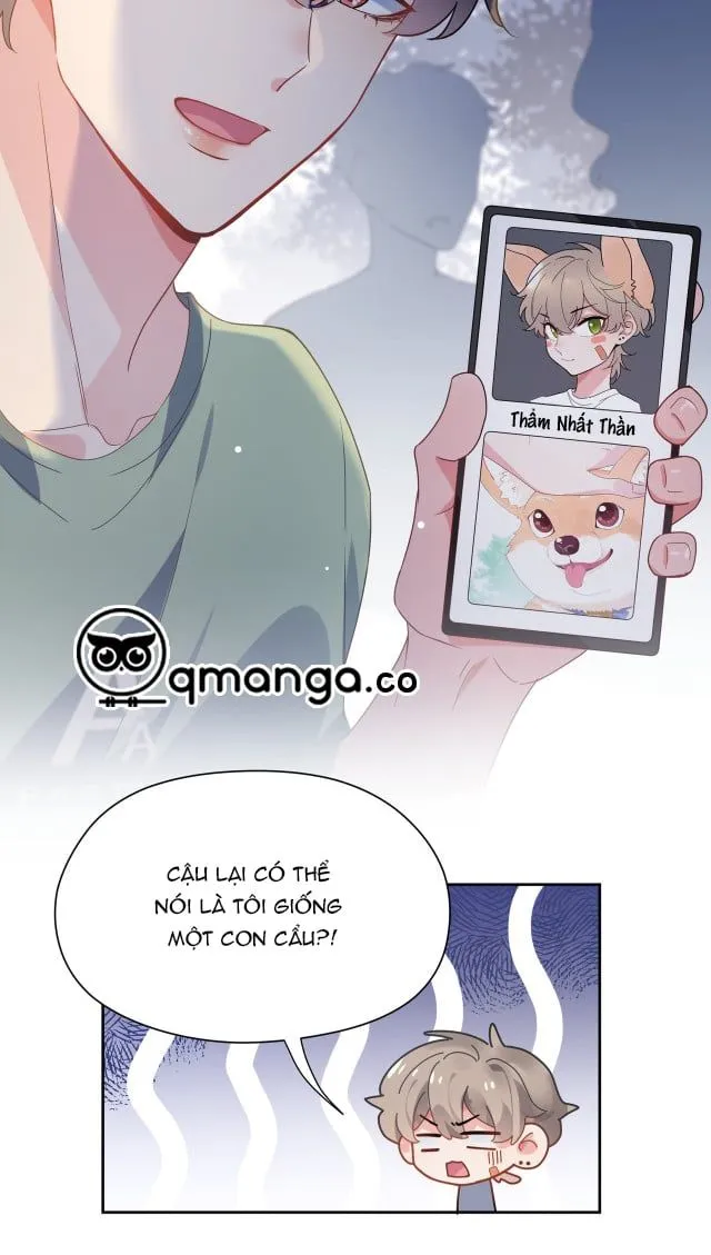 Trang 14