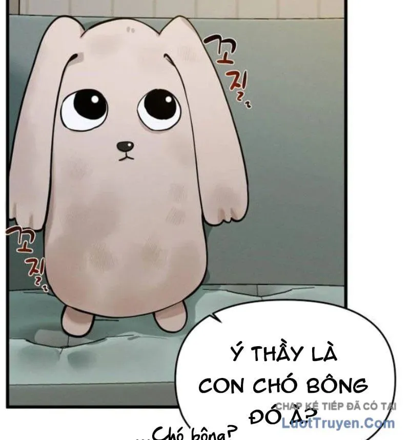 Trang 164