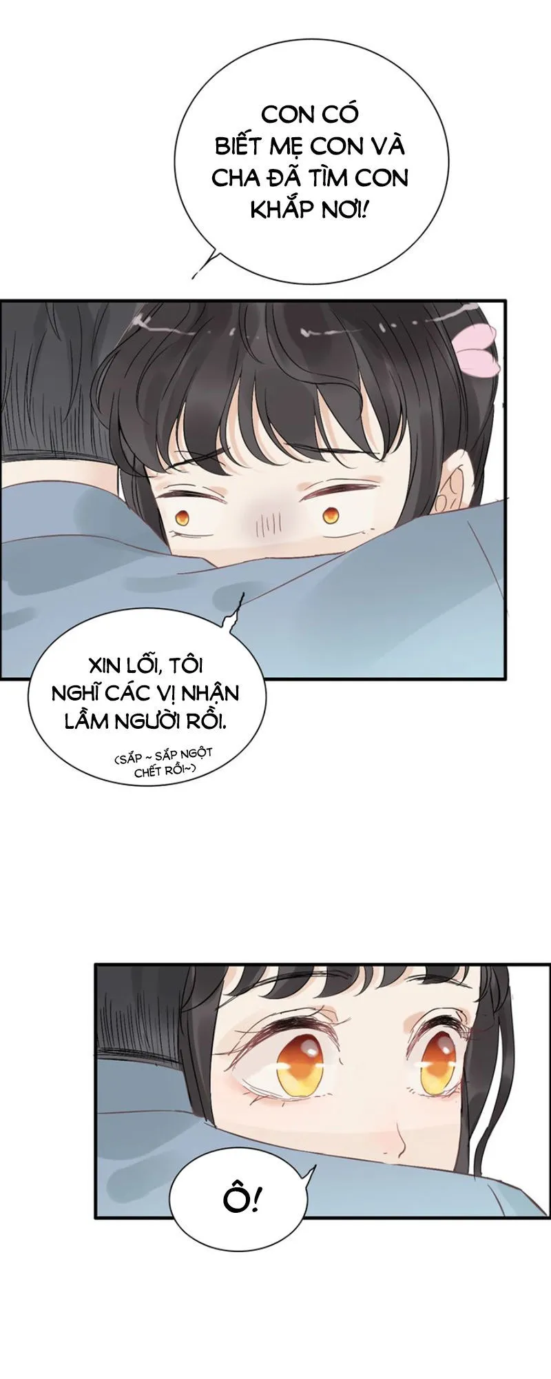 Trang 17