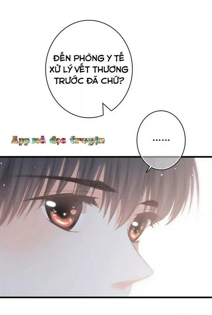 Trang 24