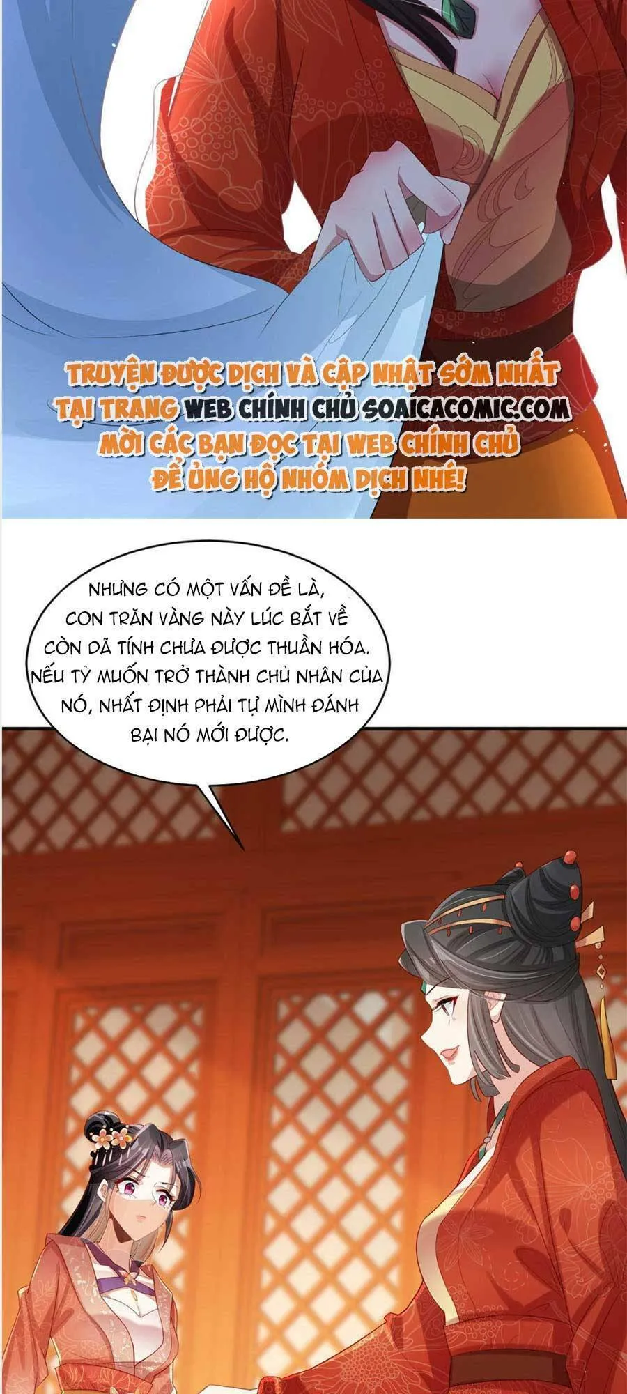 Trang 19