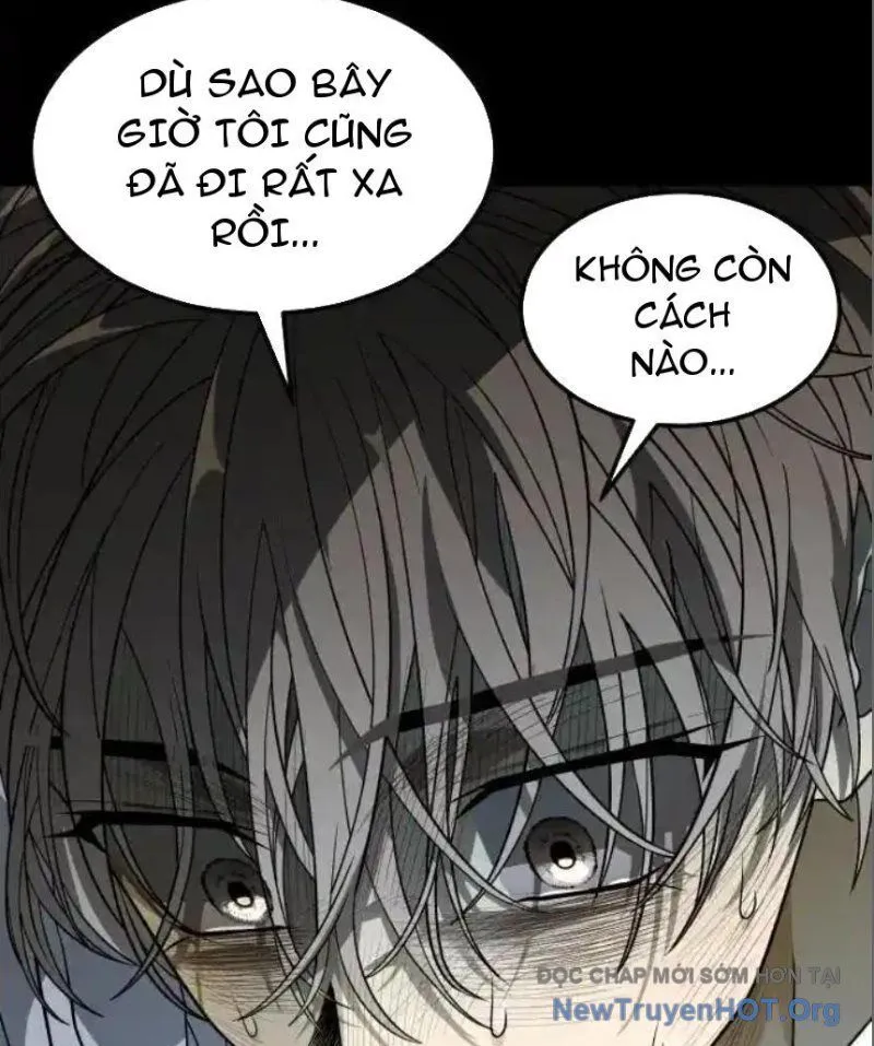 Trang 117