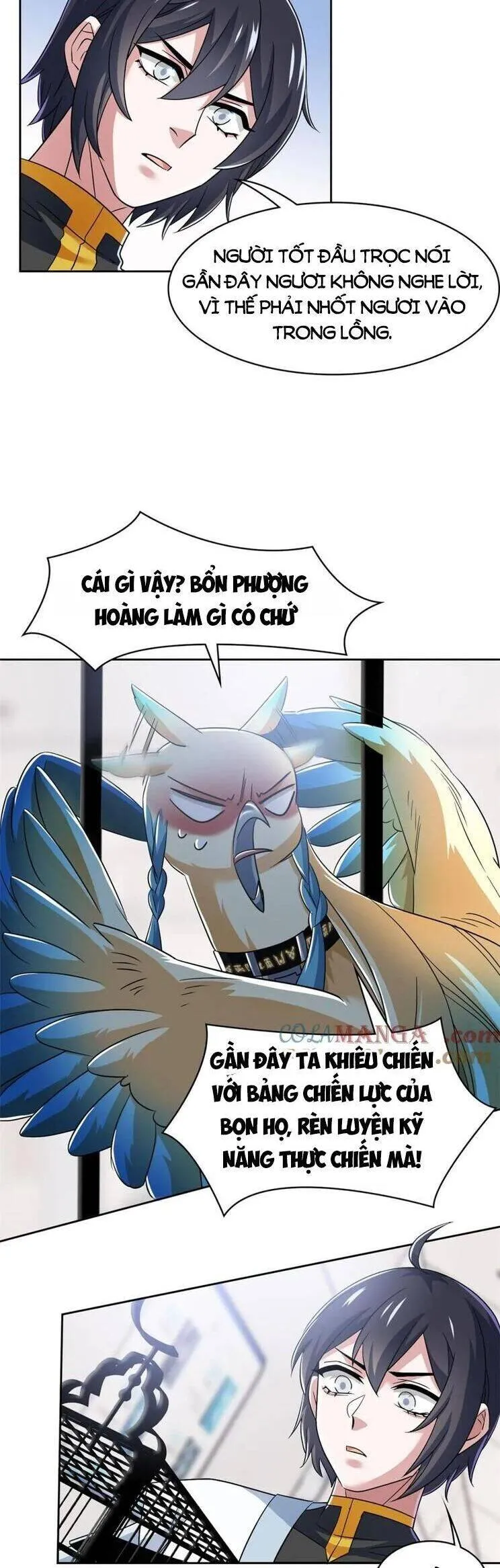 Trang 13