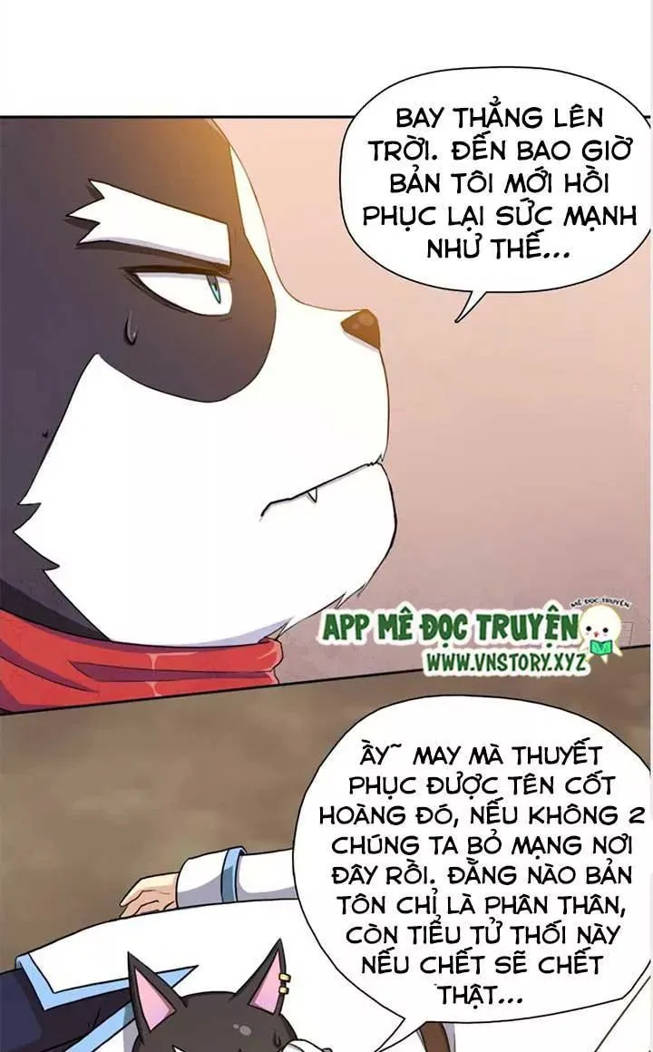 Trang 15