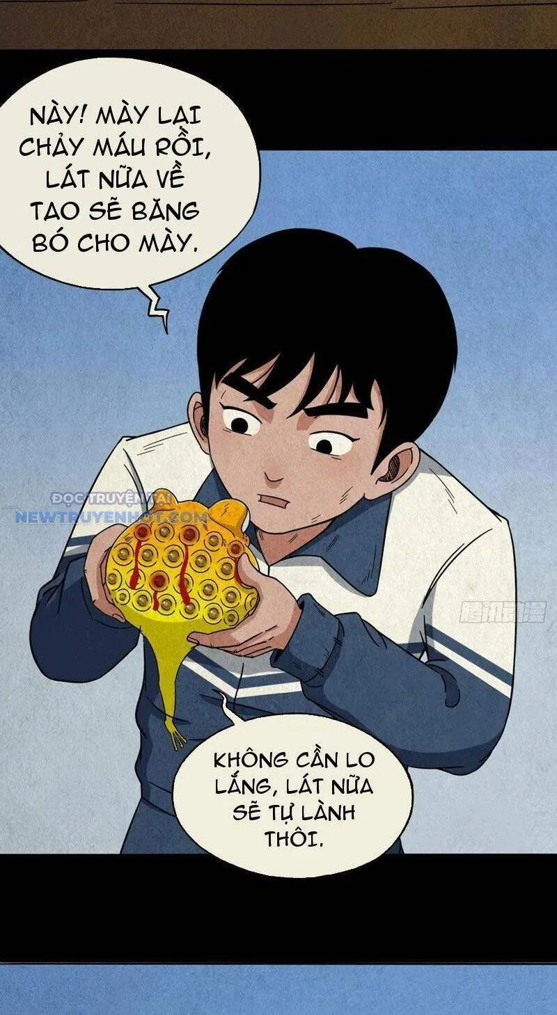Trang 13
