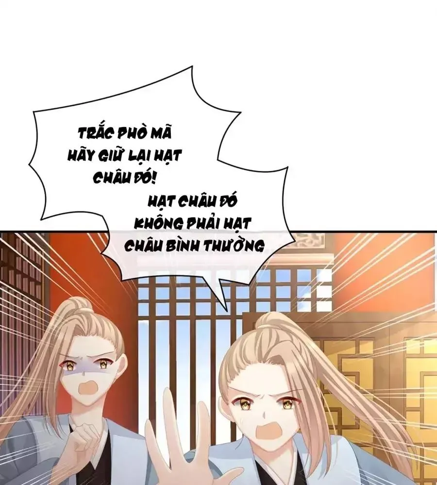 Trang 40