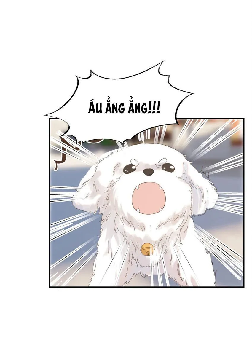 Trang 47