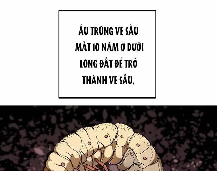 Trang 146