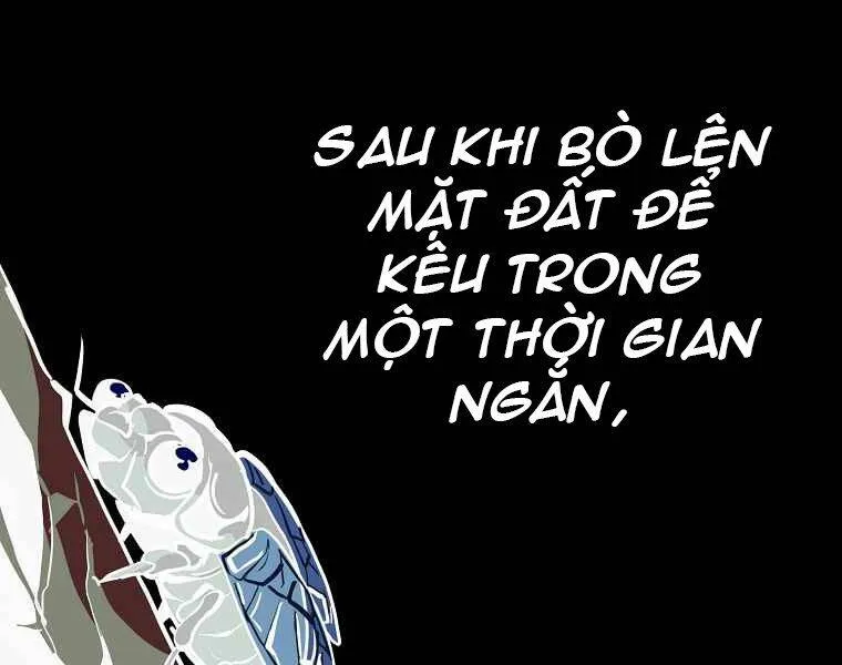 Trang 178