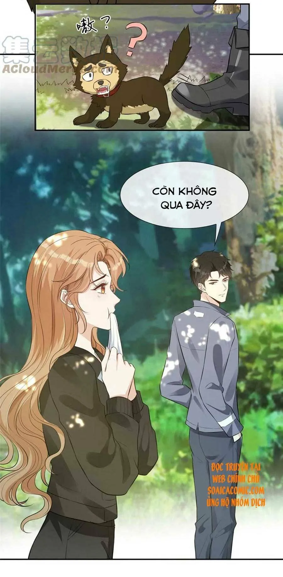 Trang 19
