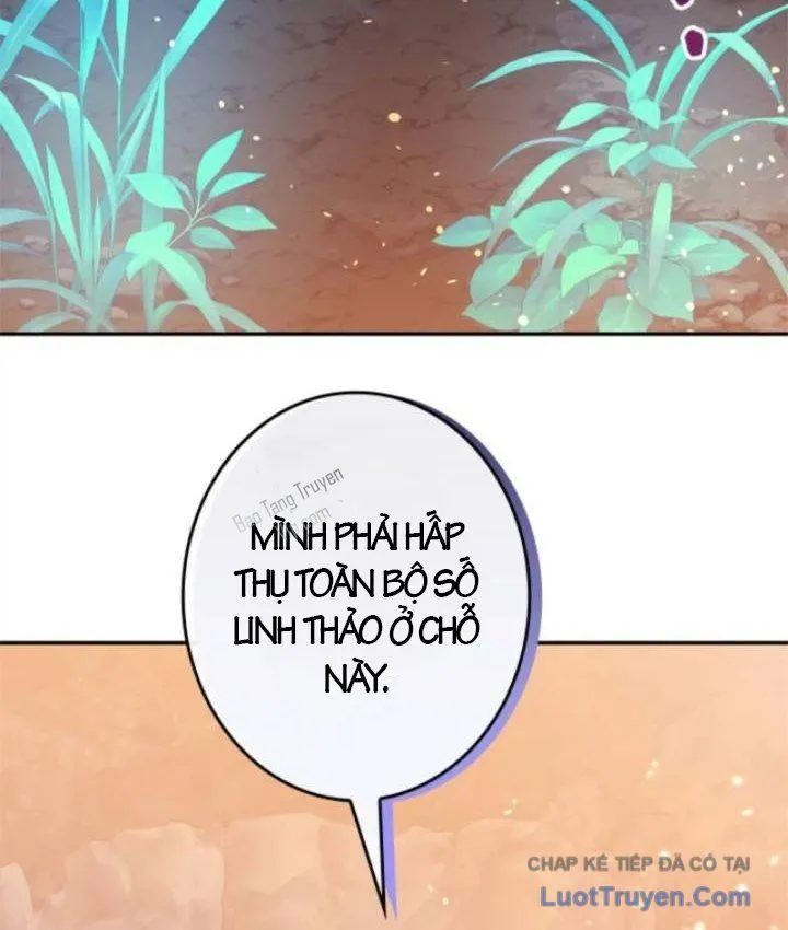 Trang 113