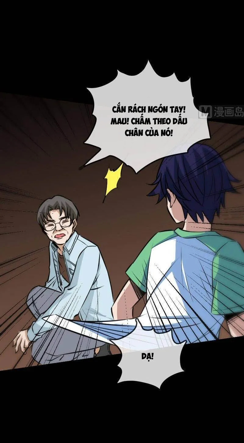 Trang 24