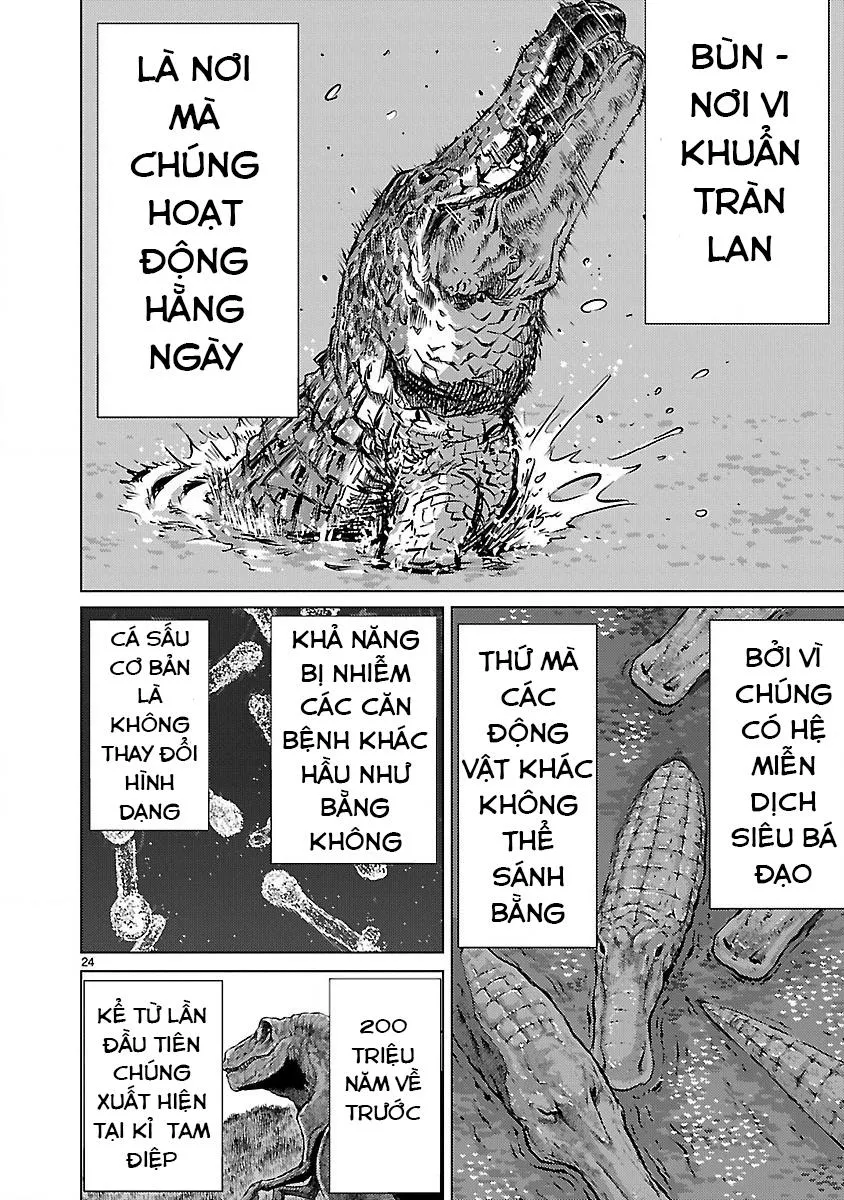 Trang 26