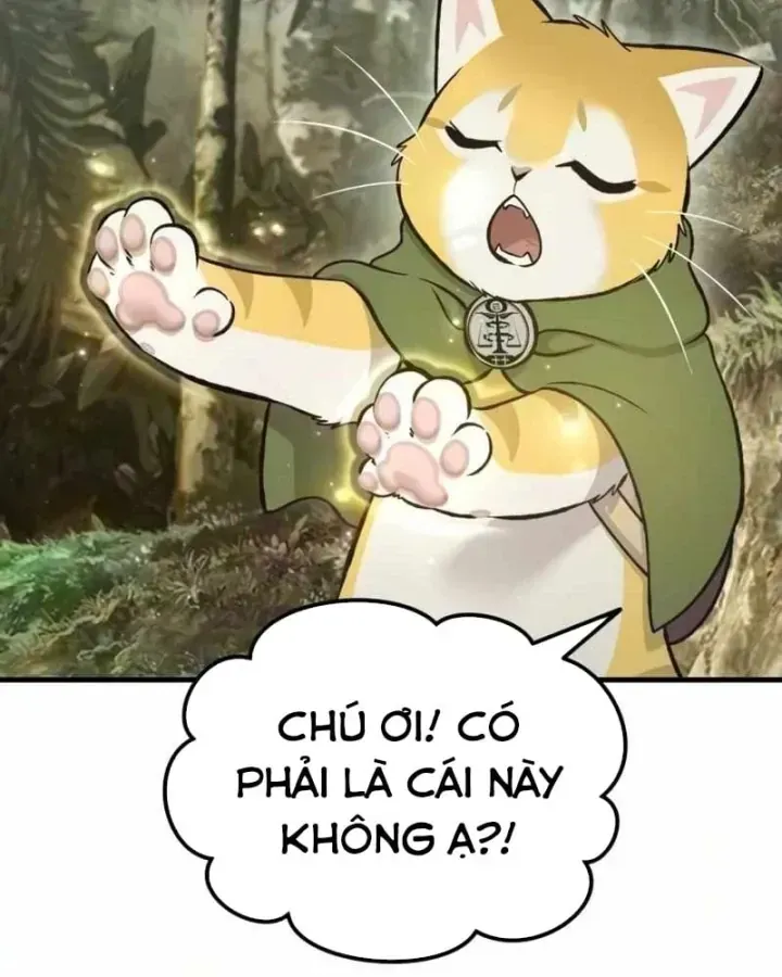 Trang 116