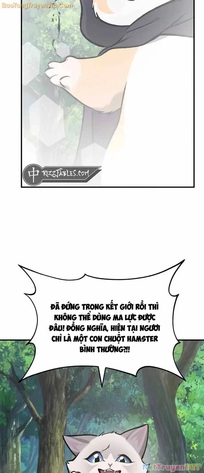 Trang 74