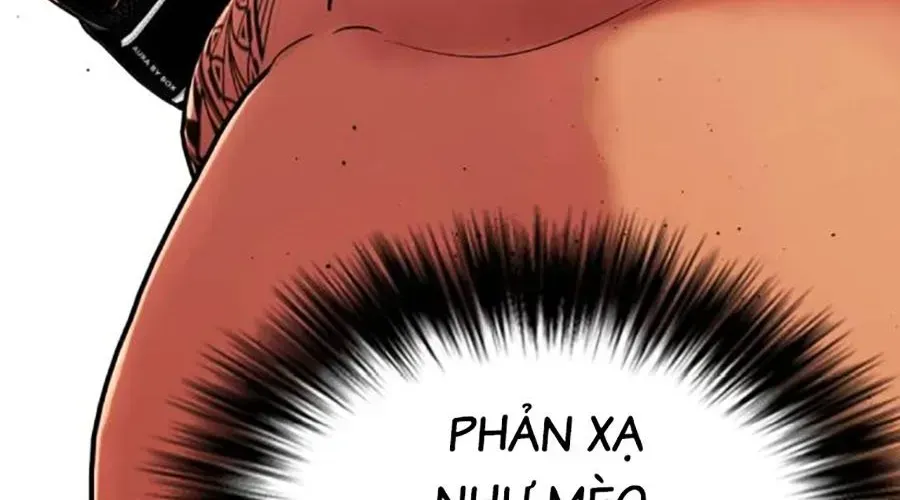 Trang 495