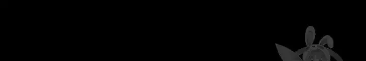 Trang 243