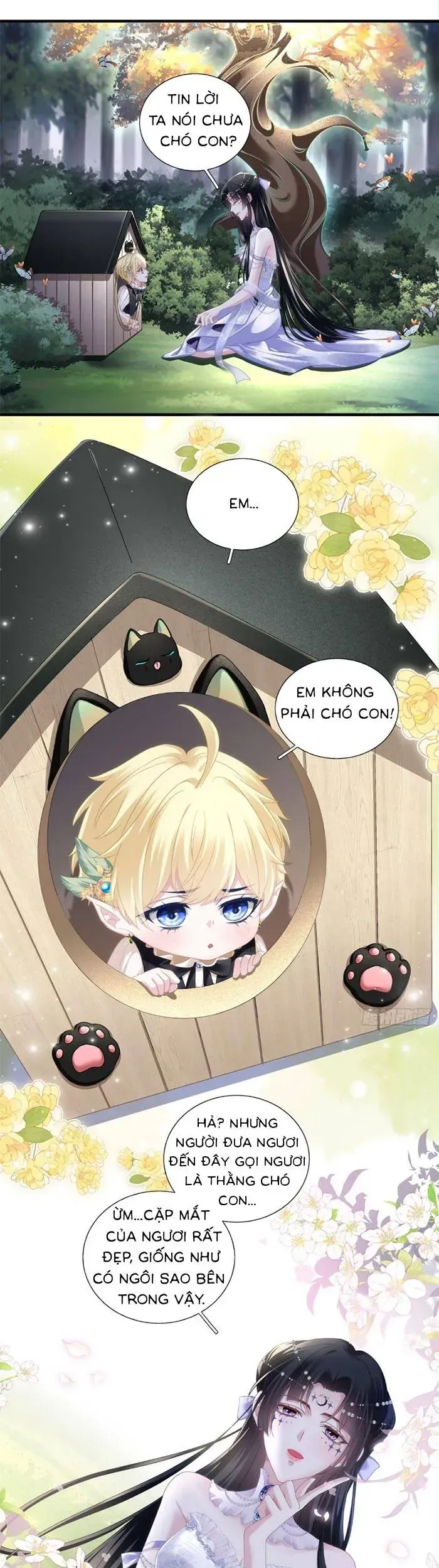 Trang 11