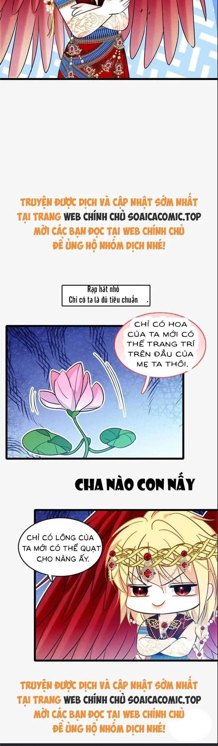 Trang 25
