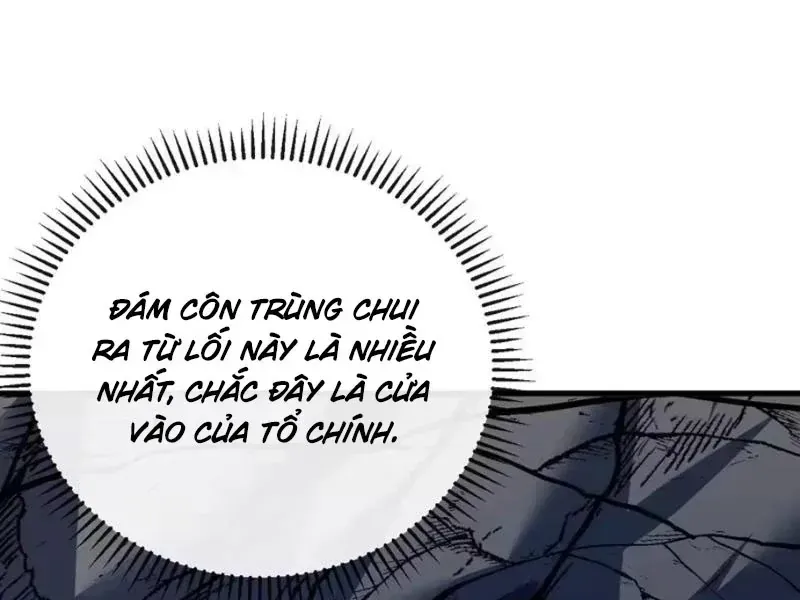 Trang 117
