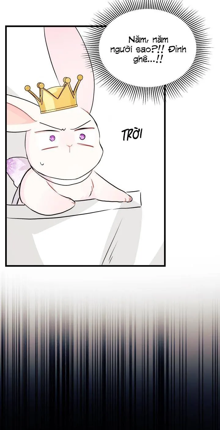 Trang 66