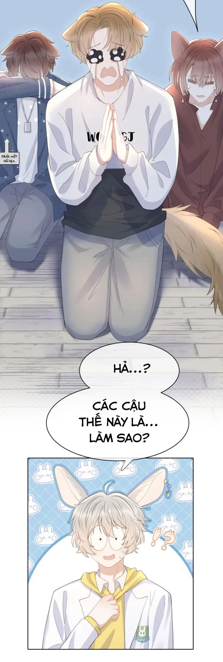 Trang 20