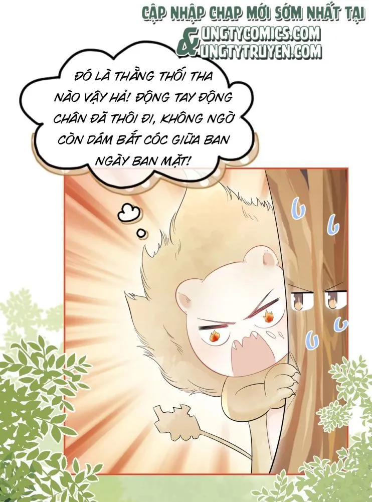 Trang 33